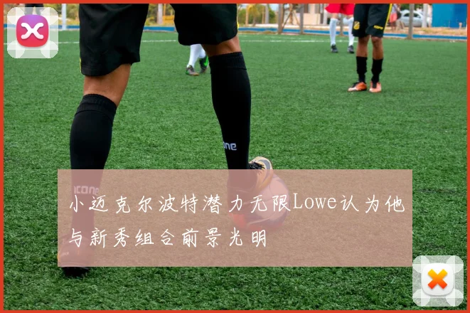 小迈克尔波特潜力无限Lowe认为他与新秀组合前景光明
