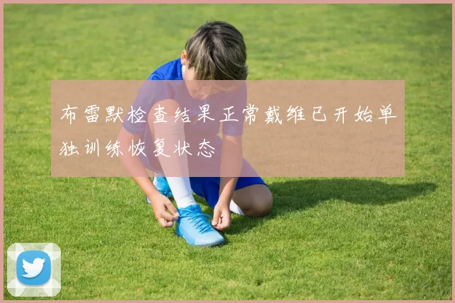 布雷默检查结果正常戴维已开始单独训练恢复状态