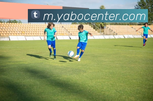 App Interface Preview